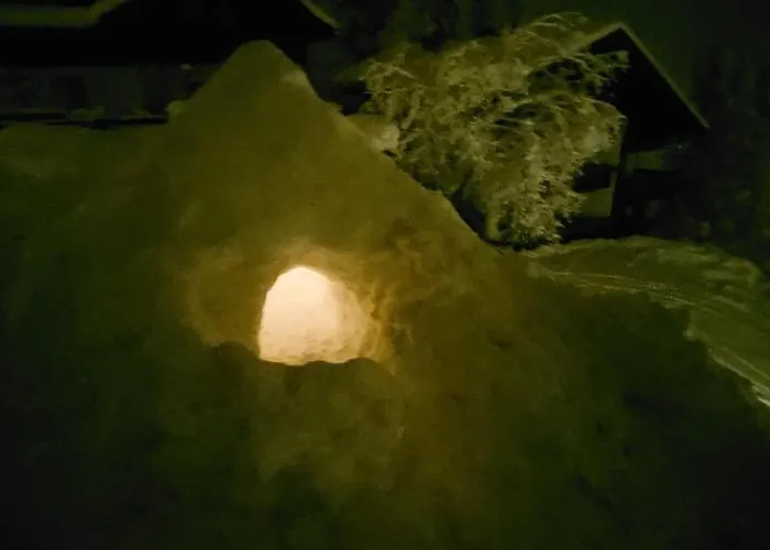 Apartment Finkennest *